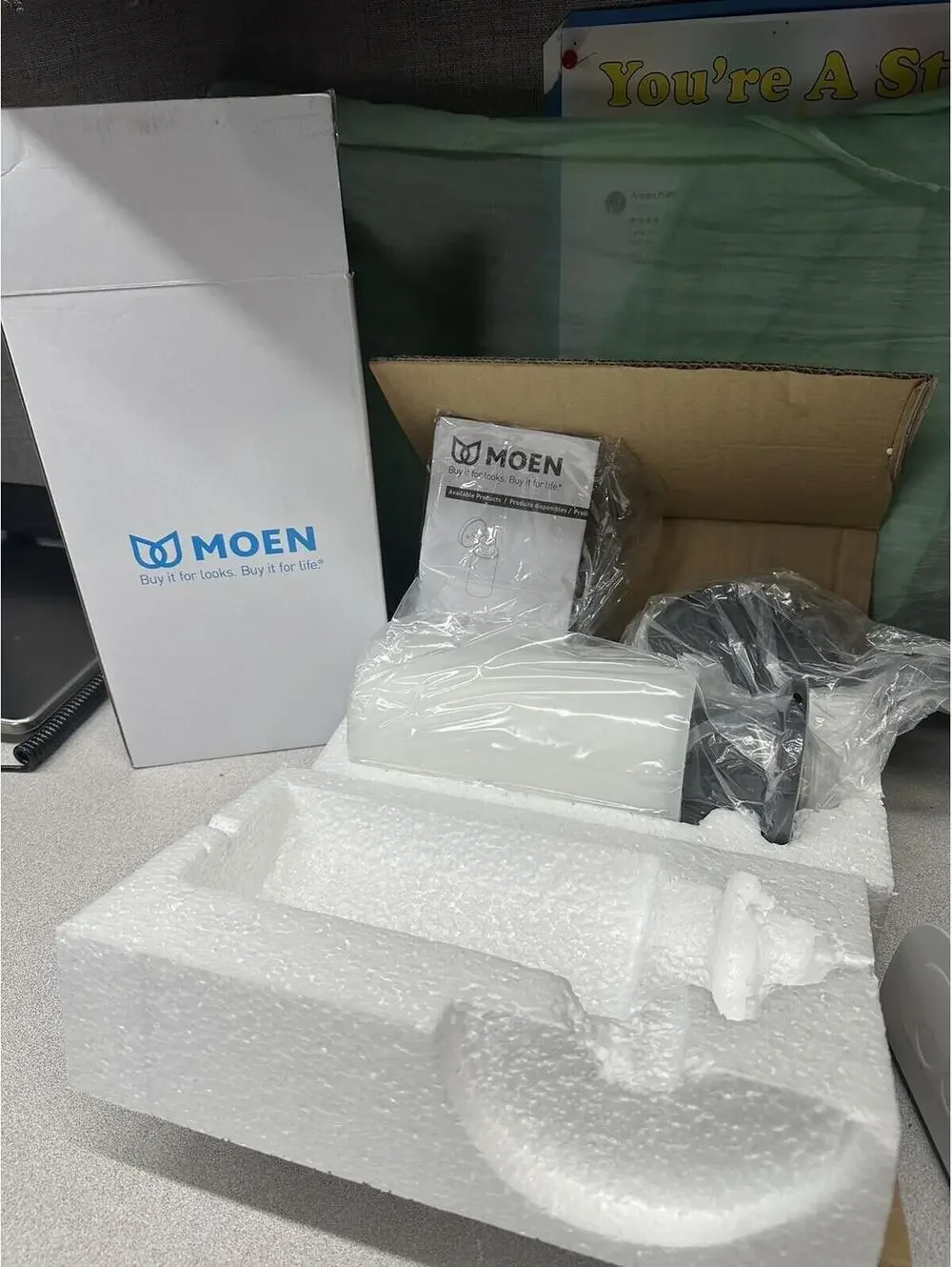 Moen DN0761BL One Globe Light Matte Black NIB!